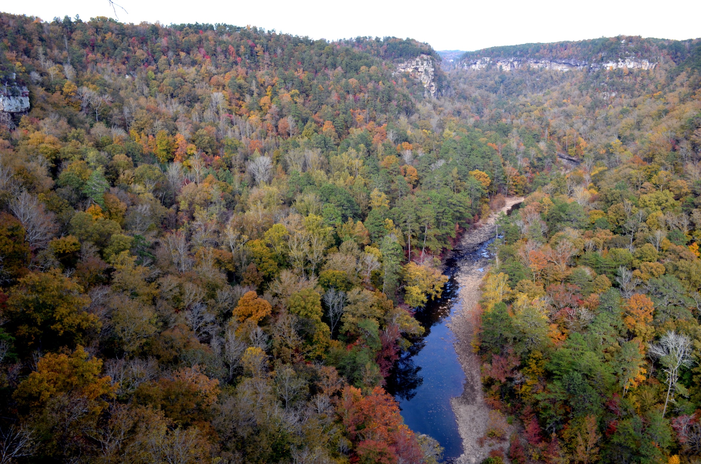Little River winding through the forested canyon in autumn near Mentone, Alabama