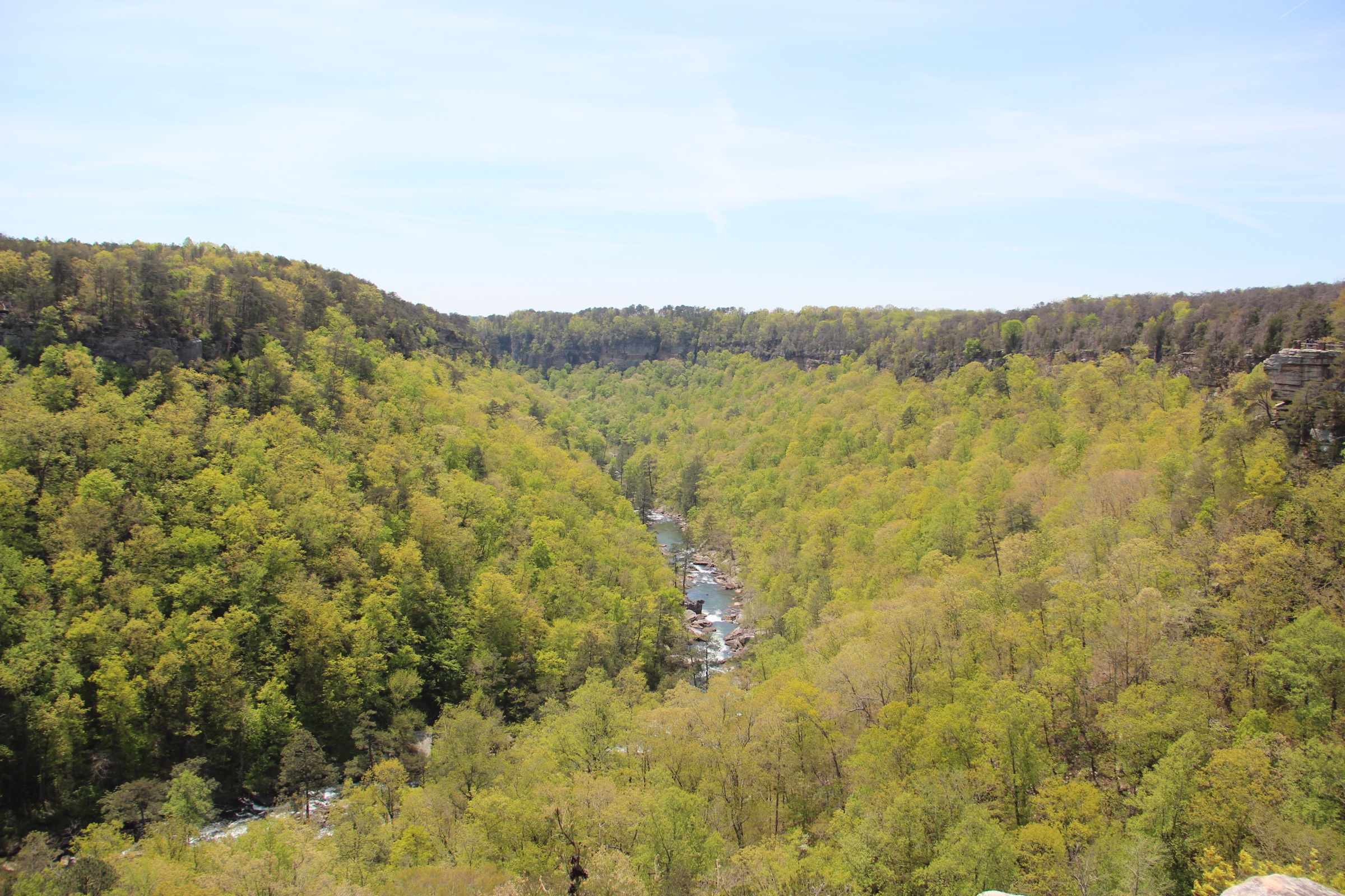 Wide spring view into Little River Canyon and the river below